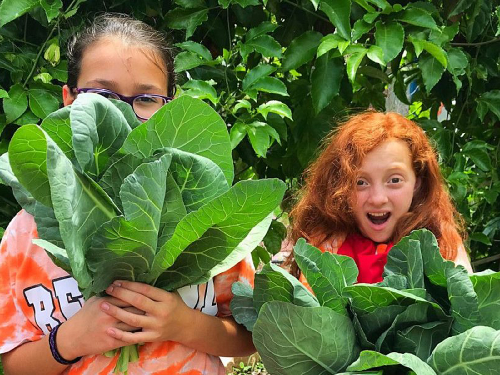 Students in a garden | Education Fund