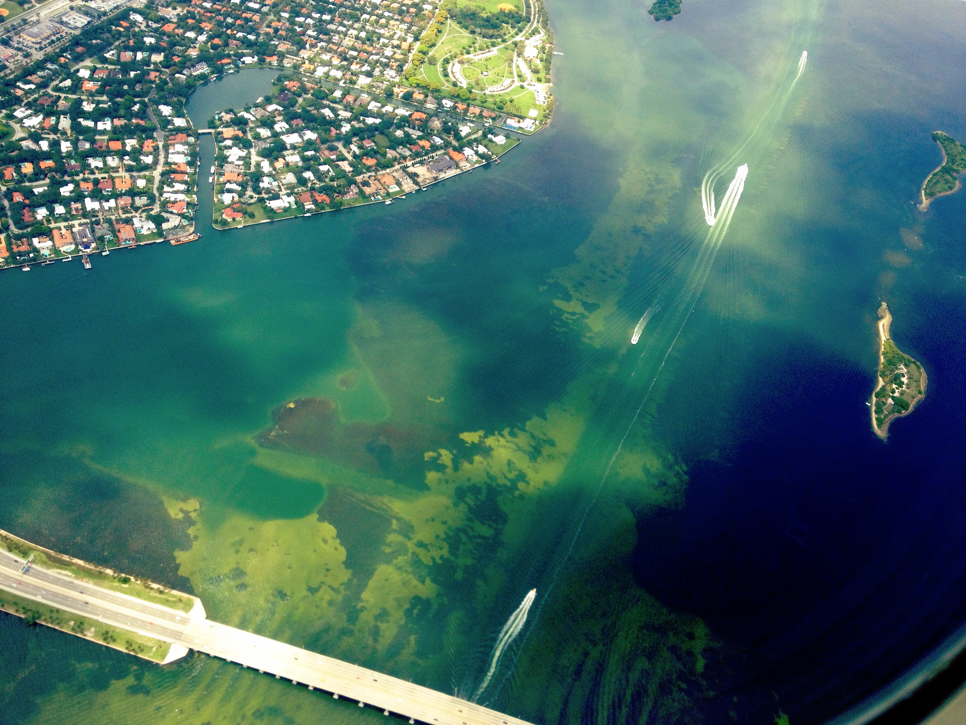 THE FUTURE OF OUR CITY ON THE SEA: A LOOK AT MIAMI’S ENVIRONMENT