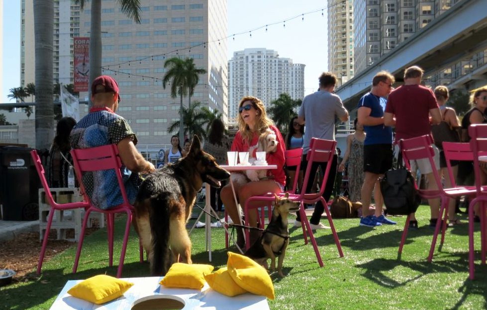 As I was biking home from work last week along The Underline, one of Greater Miami’s game-changing public space projects, cars stopped at a crosswalk to let me and some people walking cross a busy street in Brickell. Cars slowed to patiently wait, but one driver sped up, cut through the other cars and...
